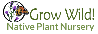 Grow Wild! logo