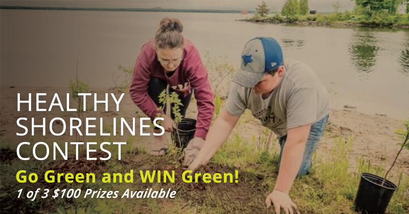 Healthy Shorelines