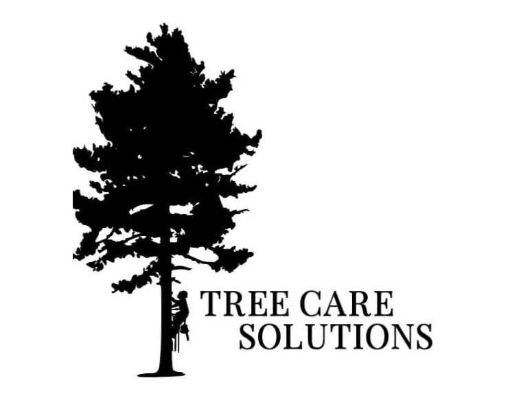 Gerard Colacci of Tree Care Solutions. 10% Discount